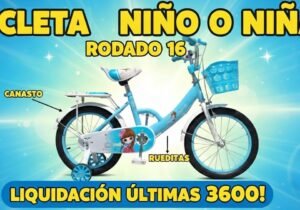 Bicicleta Rodado 16
